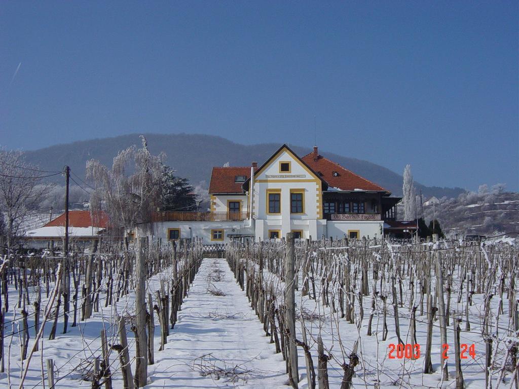 Bacchus Apartman - Borbarlang, Badacsony Badacsonytomaj Exterior photo