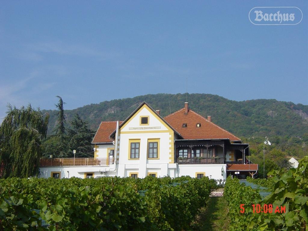 Bacchus Apartman - Borbarlang, Badacsony Badacsonytomaj Exterior photo
